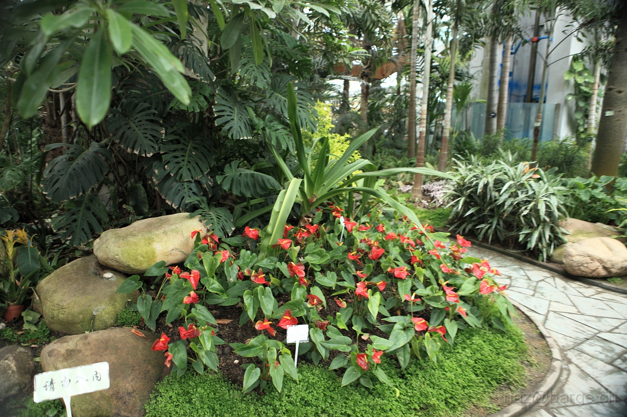 EOS 5D Mark II16_04_20134971.JPG